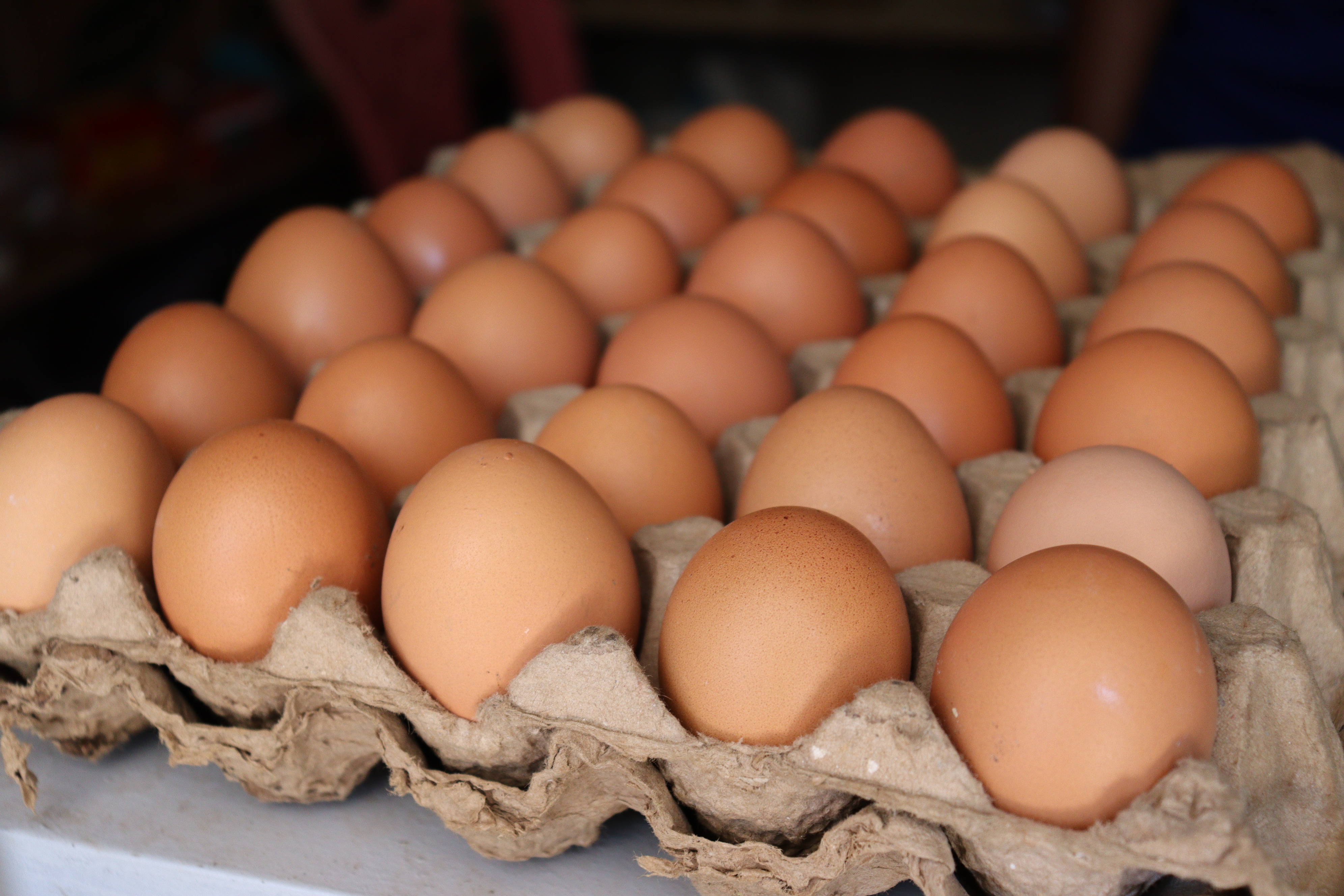 Fresh brown chicken eggs