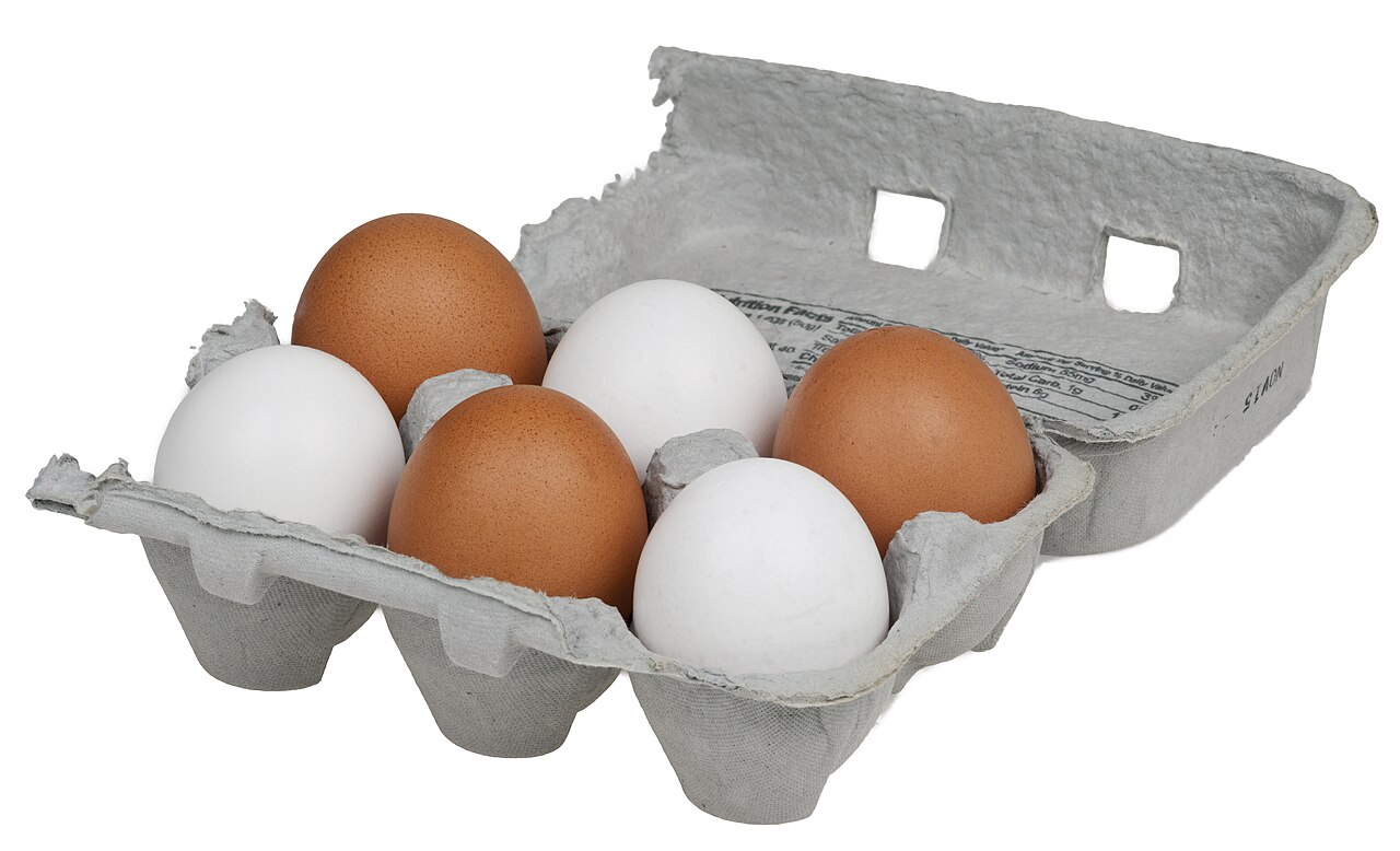 A carton of fresh chicken eggs