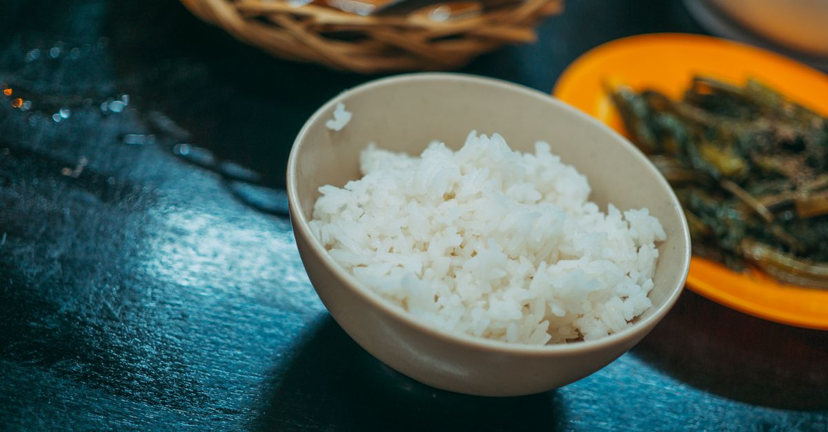 A bowl of cooked white rice