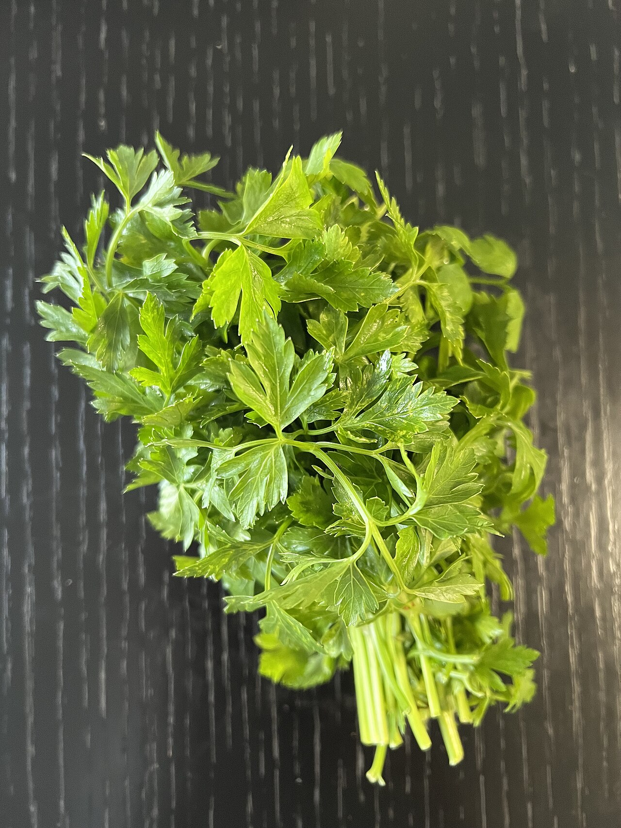 A fresh bunch of flat-leaf parsley
